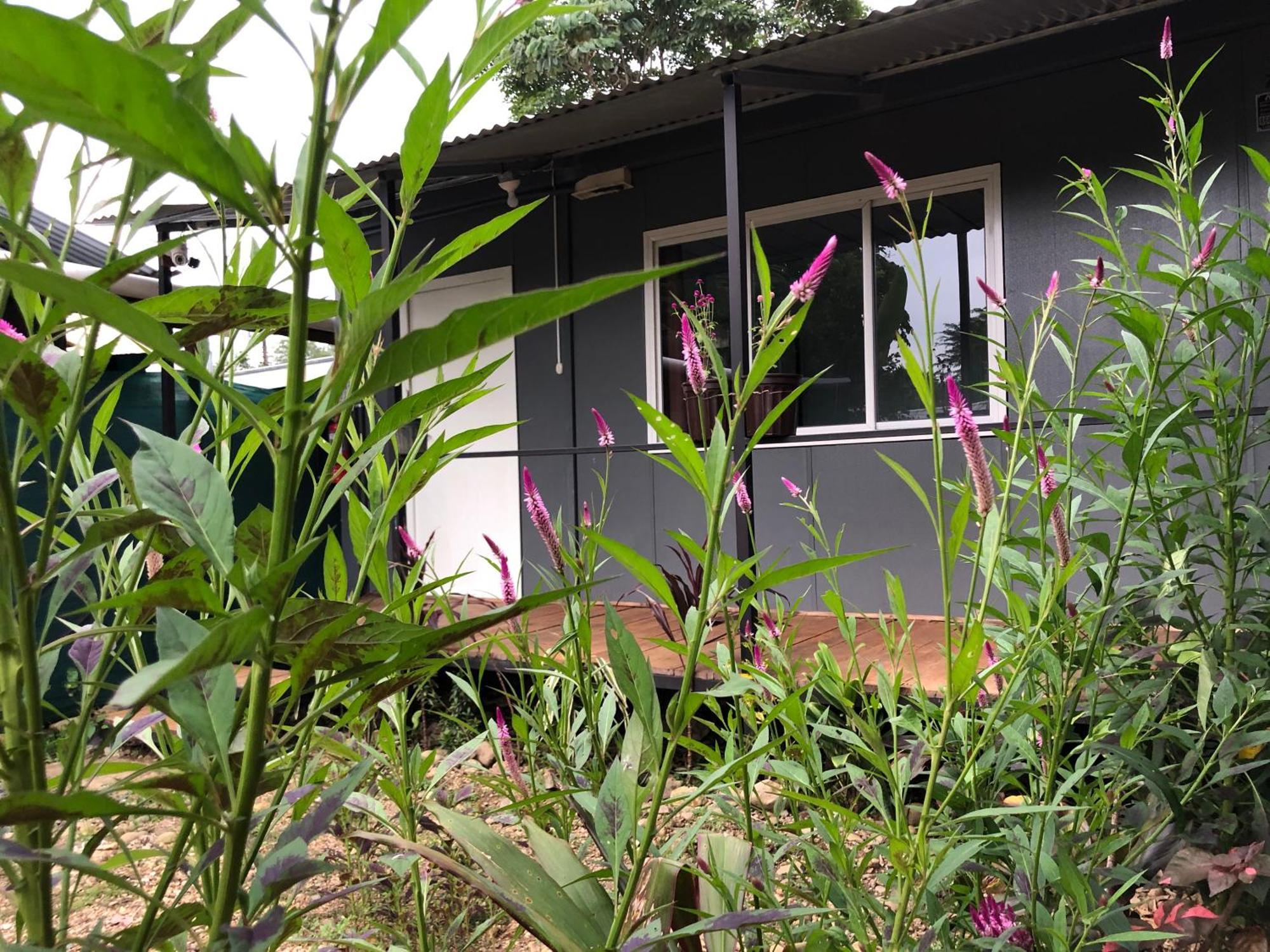 Apartamentos Equipados Dmr #3 อูวีตา ภายนอก รูปภาพ